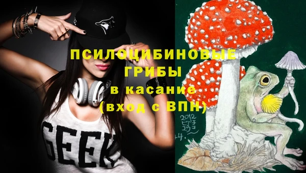 a pvp Володарск