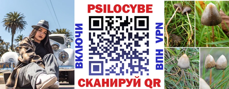 Псилоцибиновые грибы GOLDEN TEACHER  Купить закладки  Новоалтайск 