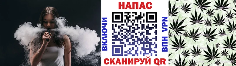 Шишки марихуана SATIVA & INDICA  Купить закладки  Новоалтайск 